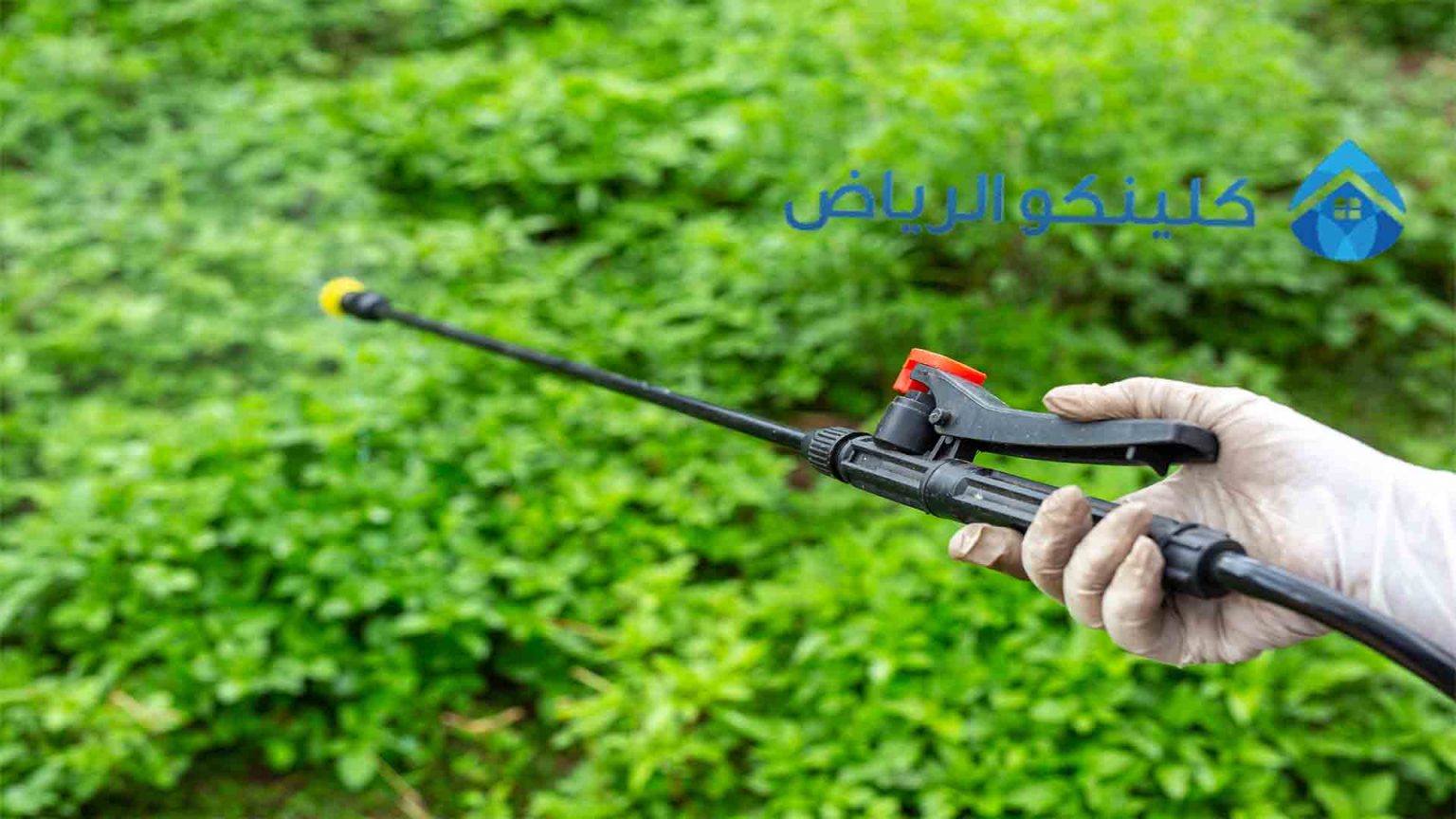 مكافحة حشرات بالرياض 0555338690 بمبيدات آمنه كلينكو الرياض