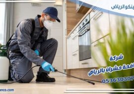 شركة مكافحة حشرات بالرياض