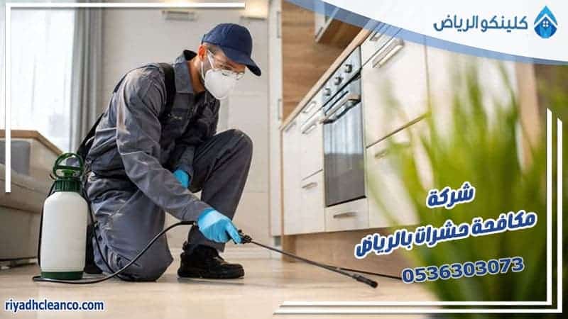 شركة مكافحة حشرات بالرياض