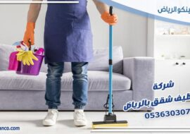 شركة تنظيف شقق بالرياض