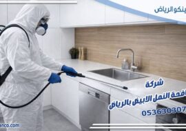 شركة مكافحة النمل الابيض بالرياض