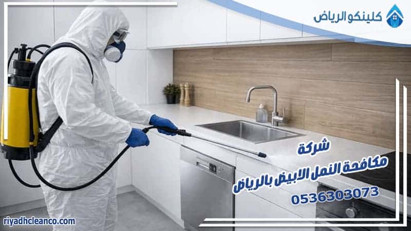 شركة مكافحة النمل الابيض بالرياض