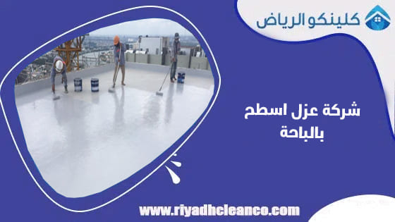 شركة عزل اسطح بالباحة