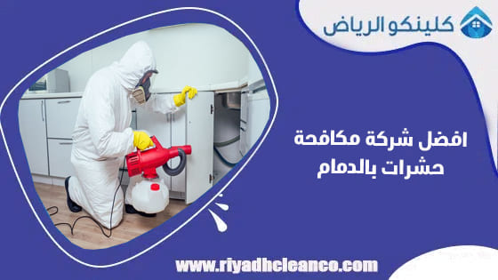 افضل شركة مكافحة حشرات بالدمام