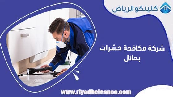 شركة مكافحة حشرات بحائل