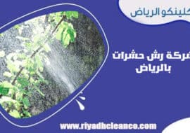 شركة رش حشرات بالرياض