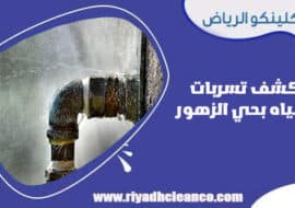 كشف تسربات المياه بحي الزهور الرياض
