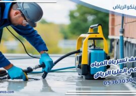 كشف تسربات المياه حي العليا الرياض