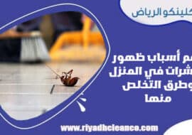 أهم أسباب ظهور الحشرات في المنزل وطرق التخلص منها