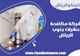 شركة مكافحة حشرات جنوب الرياض