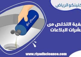 كيفية التخلص من حشرات البلاعات