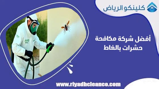 أفضل شركة مكافحة حشرات بالغاط