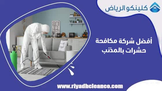 أفضل شركة مكافحة حشرات بالمذنب