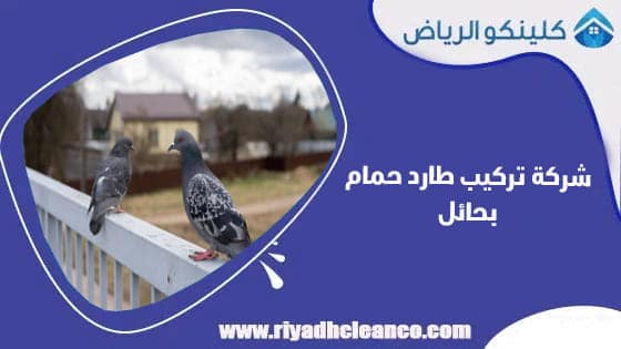 شركة تركيب طارد حمام بحائل