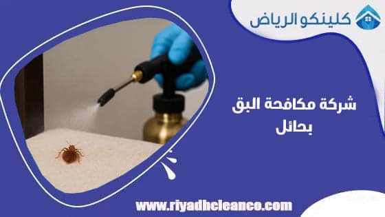 شركة مكافحة البق بحائل