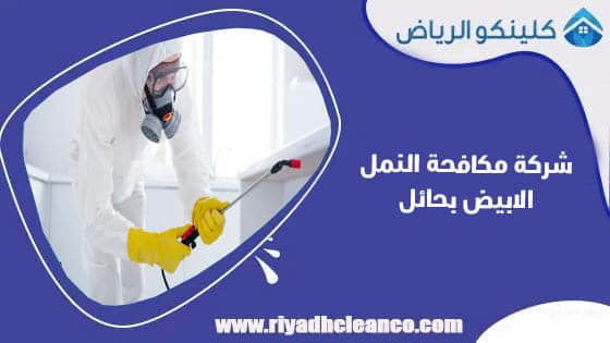 شركة مكافحة النمل الابيض بحائل