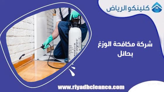 شركة مكافحة الوزغ بحائل