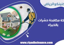 شركة مكافحة حشرات بالخبراء