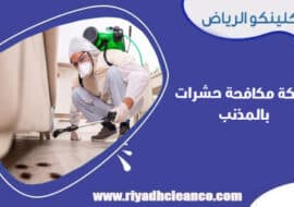 شركة مكافحة حشرات بالمذنب