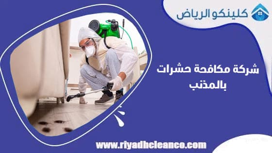 شركة مكافحة حشرات بالمذنب