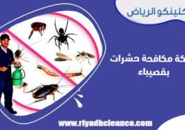 شركة مكافحة حشرات بقصيباء