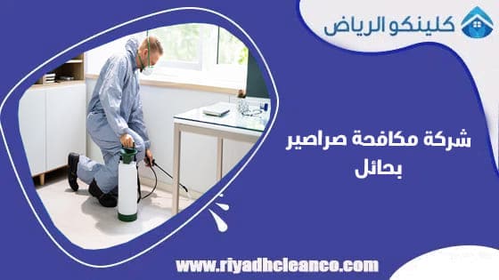 شركة مكافحة صراصير بحائل