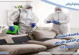مكافحة حشرات حي الخليج بالرياض