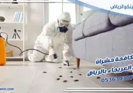 مكافحة حشرات حي العريجاء بالرياض