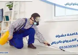 مكافحة حشرات حي القيروان بالرياض