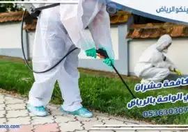 مكافحة حشرات حي الواحة بالرياض