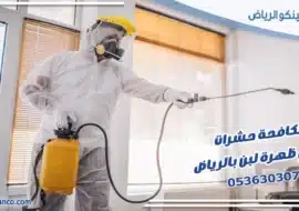 مكافحة حشرات حي ظهرة لبن بالرياض