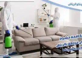 مكافحة حشرات حي غرناطة بالرياض