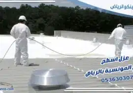 عزل اسطح حي المونسية بالرياض