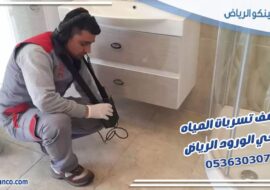 كشف تسربات المياه حي الورود الرياض
